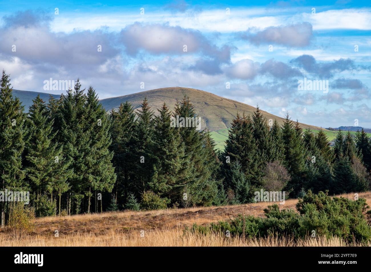 L'iew di Parlick cadde dal Beacon Fell Country Park, Preston, Lancashire. Foto Stock