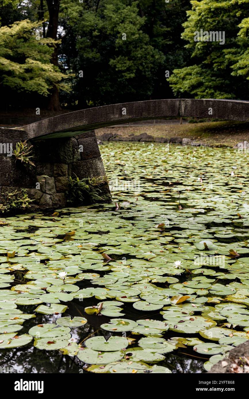 Giardino botanico Koishikawa Kōrakuen, vicino al Tokyo Dome, Tokyo, Giappone © Giorgia De dato Foto Stock