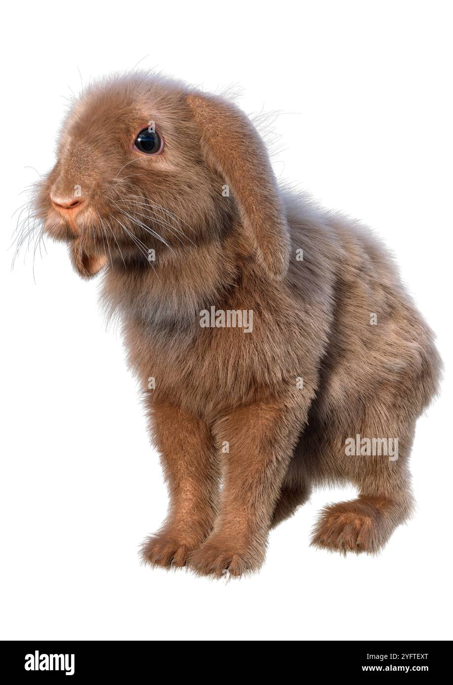 Rendering 3D di un coniglio holland lop isolato su sfondo bianco Foto Stock