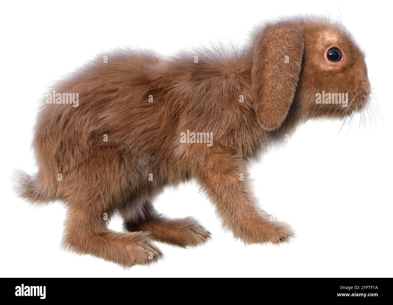 Rendering 3D di un coniglio holland lop isolato su sfondo bianco Foto Stock