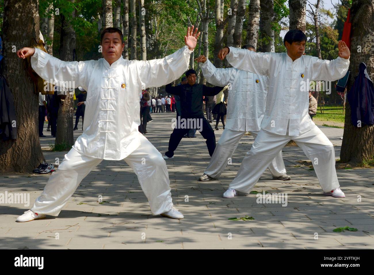 Decine di residenti di Pechino che praticano Tai chi nel grande parco di Pechino che circonda il Tempio del Paradiso. Foto Stock