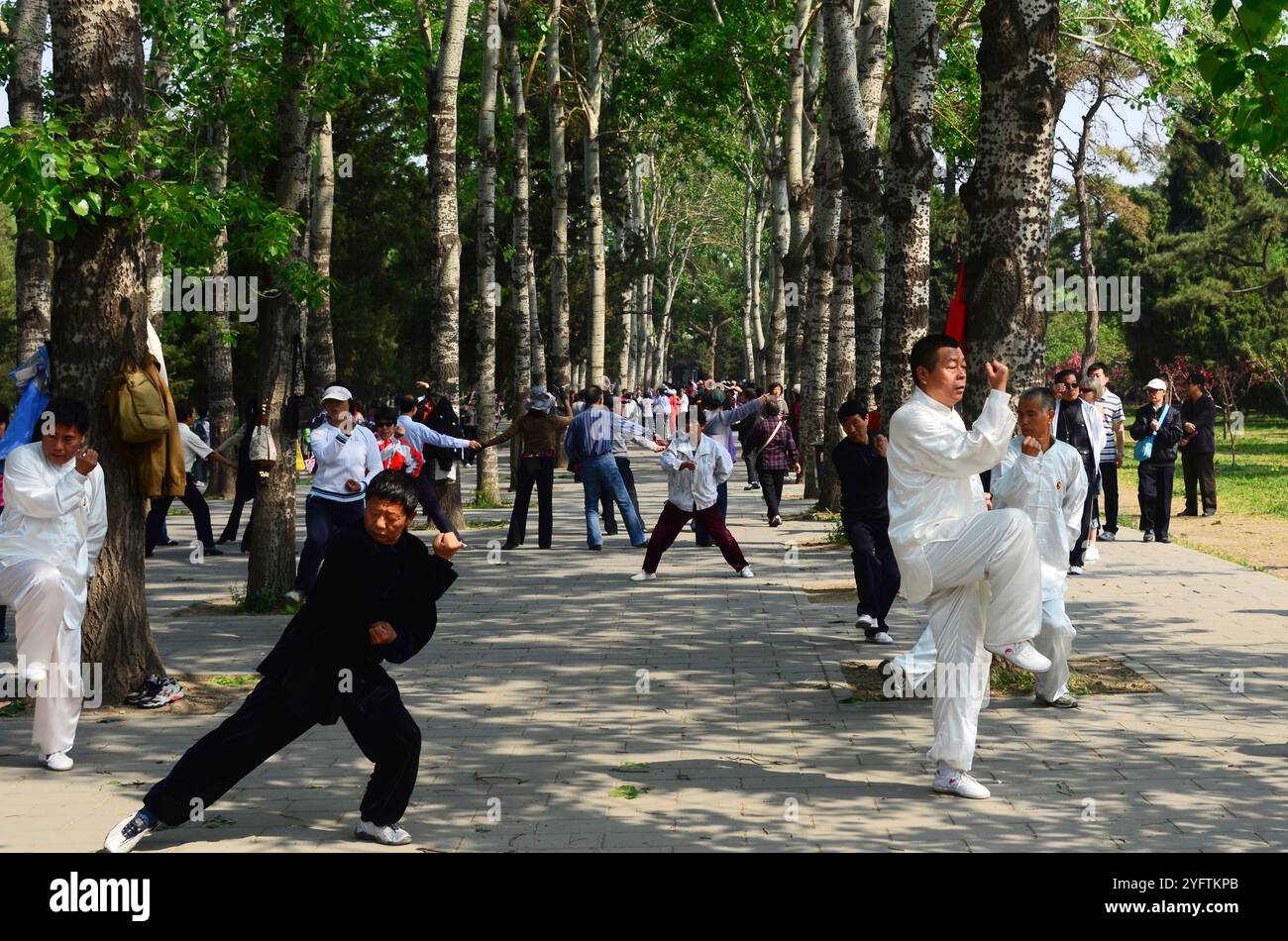 Decine di residenti di Pechino che praticano Tai chi nel grande parco di Pechino che circonda il Tempio del Paradiso. Foto Stock