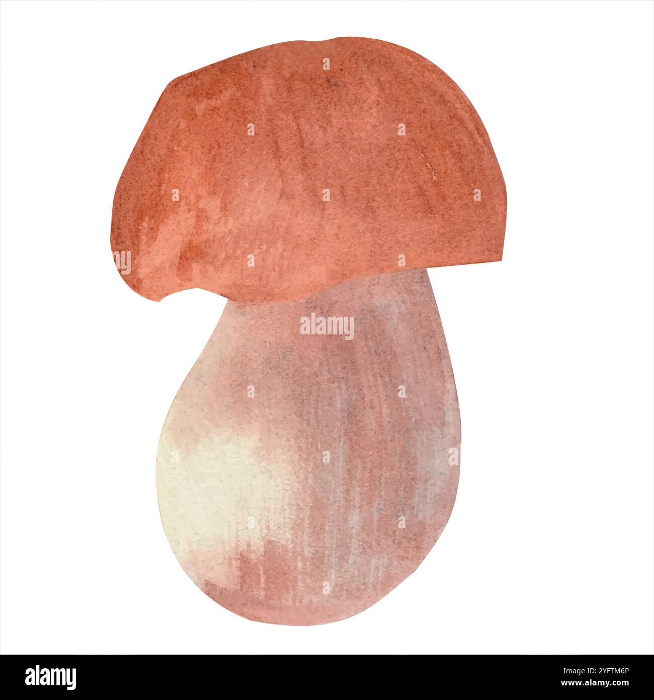 Illustrazione ad acquerello di funghi su sfondo bianco. Design vintage e retrò disegnato a mano. Perfetto per biglietti d'auguri, copertine, stampe, logo, patt Illustrazione Vettoriale