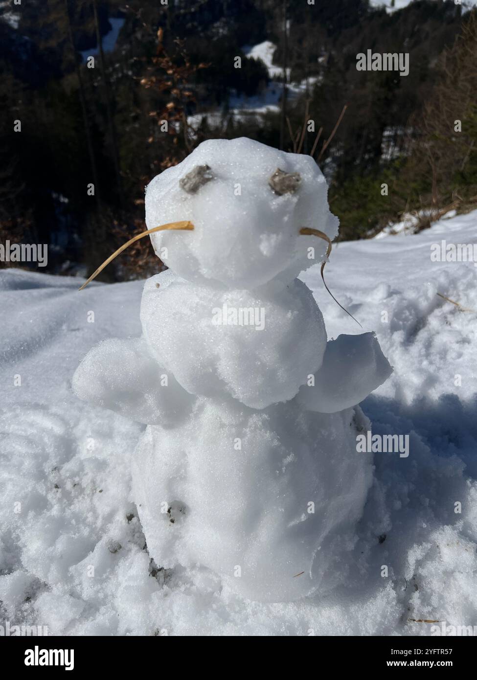 Neve in Austria, Salisburgo Foto Stock
