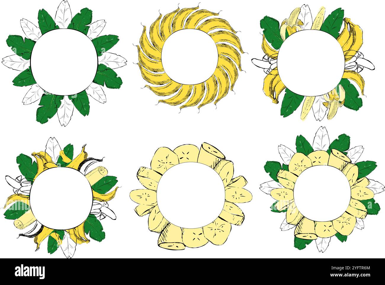 Cornici circolari con foglie tropicali e banane e tipografia moderna. Illustrazione di un cartone animato grafico vettoriale. Modelli di progettazione per branding e annunci Illustrazione Vettoriale