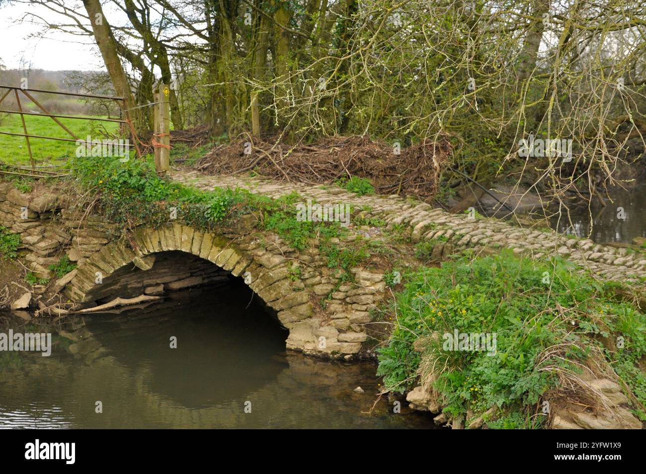 Vecchio ponte costruito in pietra sul tratto superiore del fiume Frome nel Somerset. Il ponte grezzo della fattoria con superficie di ciottoli è spesso coperto con W Foto Stock