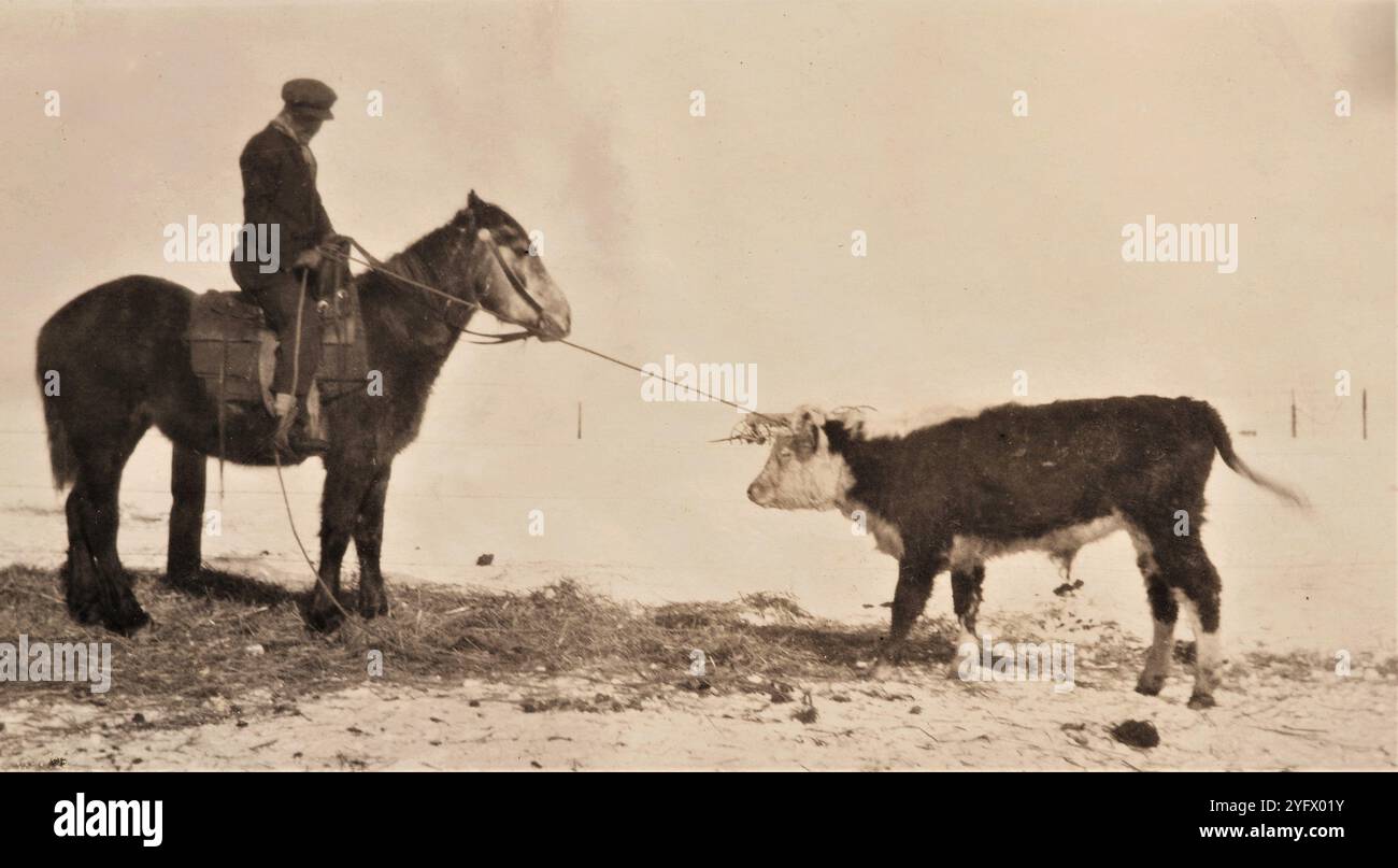 Homesteading, anni '1920, Saskatchewan, Canada Foto Stock