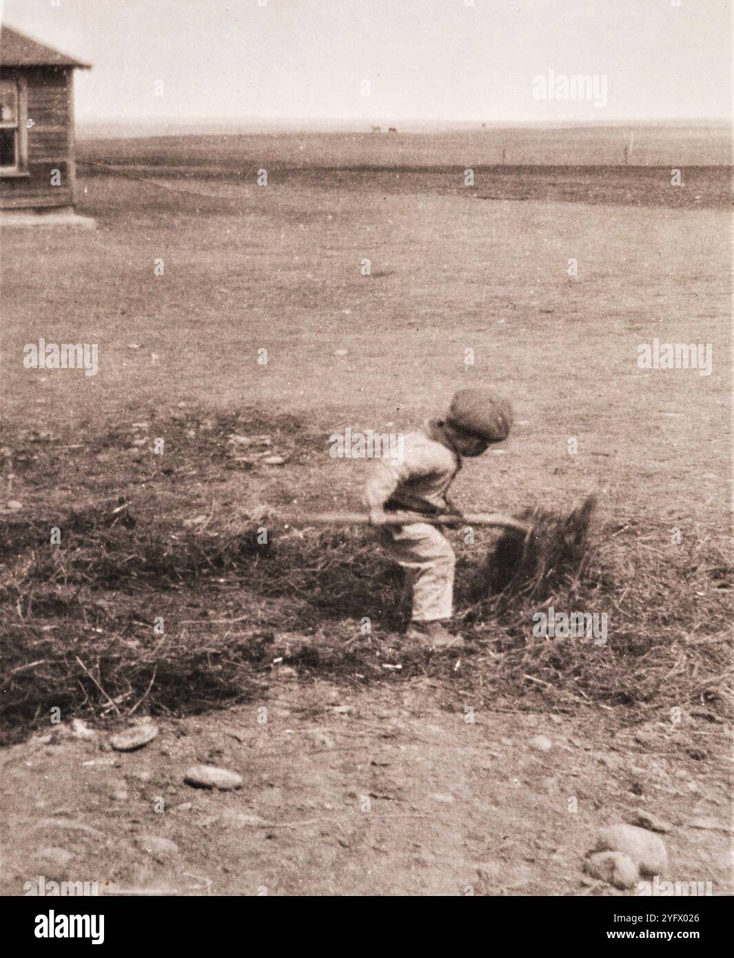 Homesteading, anni '1920, Saskatchewan, Canada Foto Stock