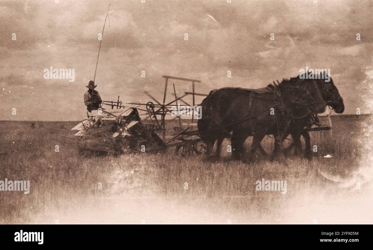 Homesteading, anni '1920, Saskatchewan, Canada Foto Stock