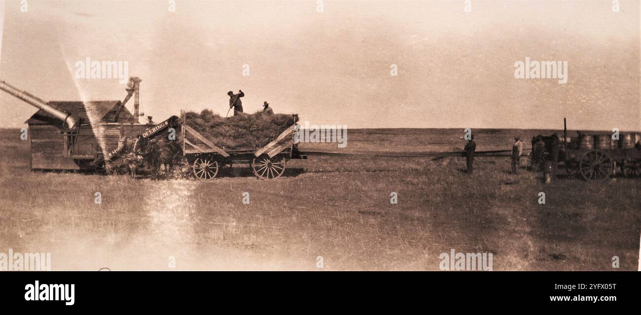 Homesteading, anni '1920, Saskatchewan, Canada Foto Stock
