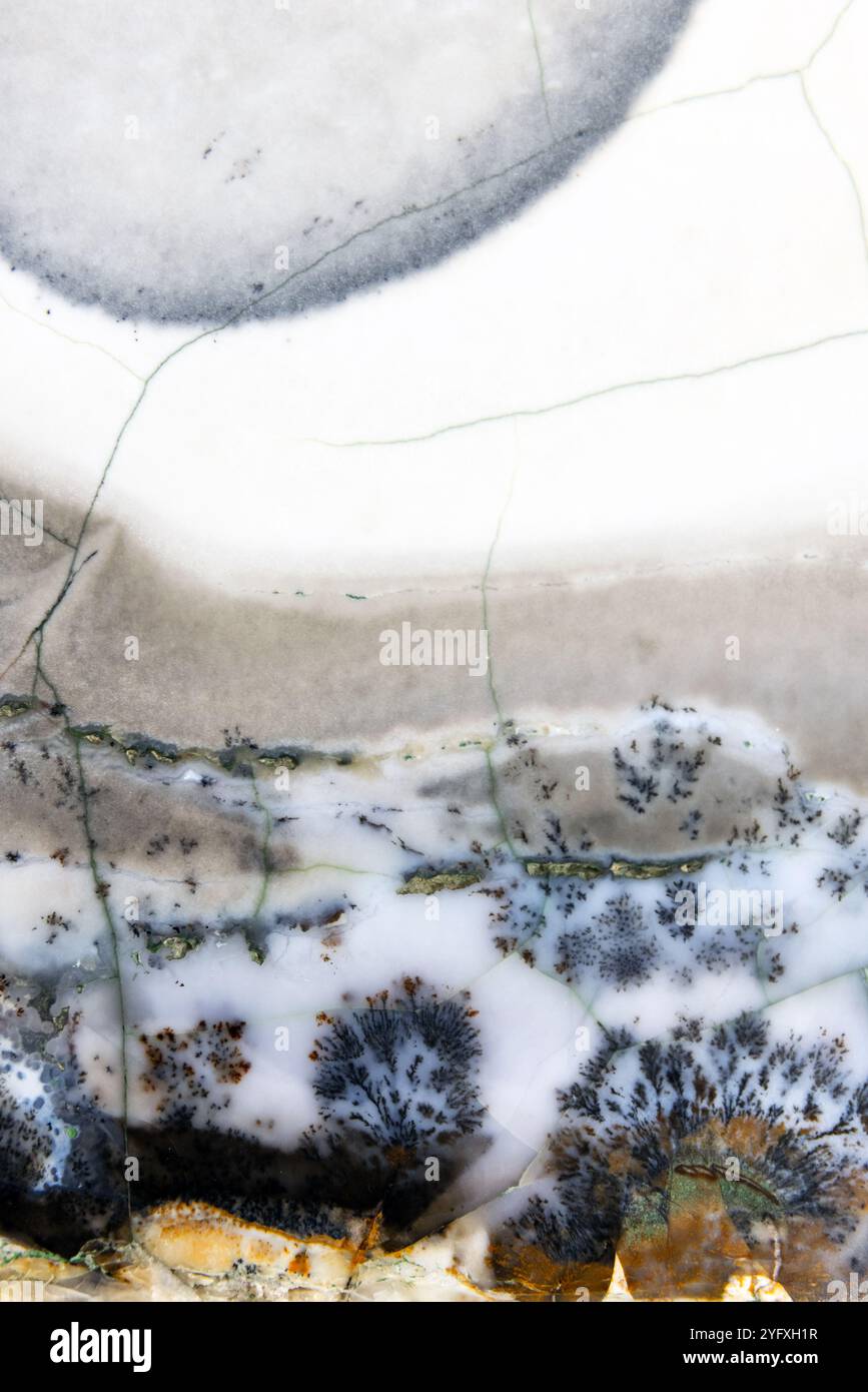 Flint in un bordo di agata di muschio, foto di sfondo verticale di gemme semi-preziose formate da diossido di silicio. Campione minerale lucidato Foto Stock