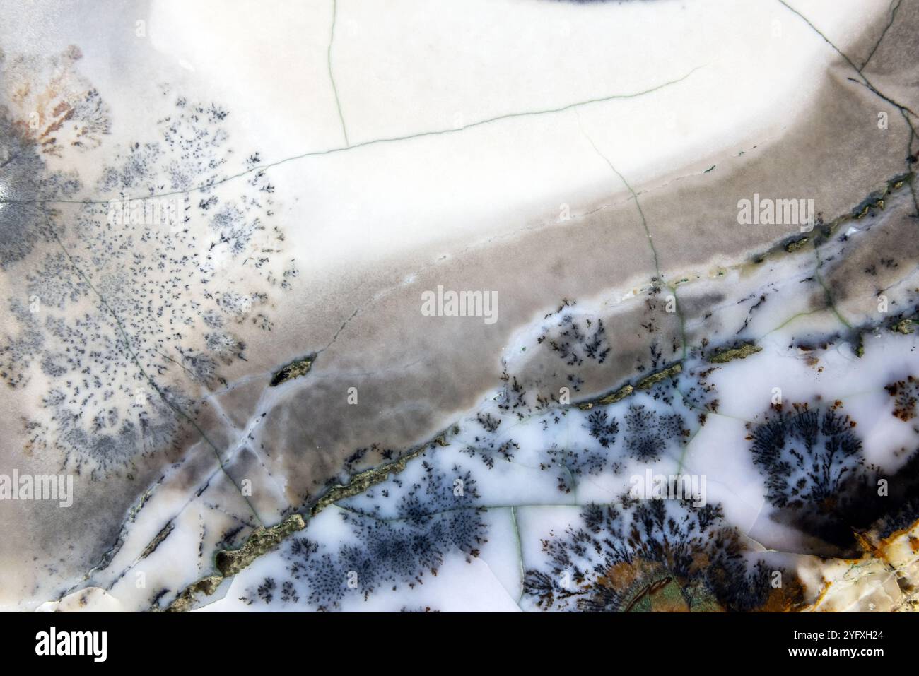 Campione minerale lucidato. Flint in un bordo di agata di muschio, foto di sfondo naturale di gemme semi-preziose formate da diossido di silicio Foto Stock