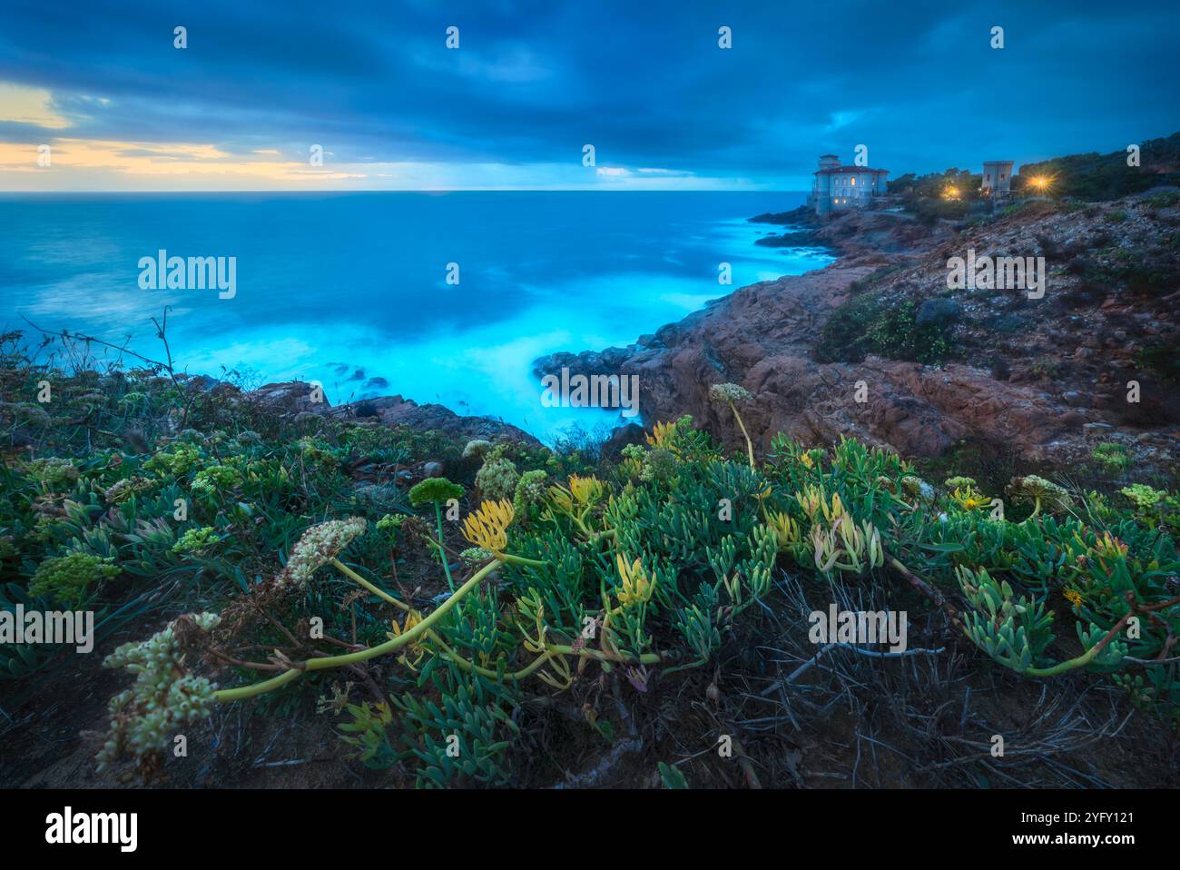 Castello Boccale e le rocce di arenaria di Romito durante una tempesta al tramonto e una pianta in primo piano. Fotografia a lunga esposizione. Livorno, Toscana Foto Stock