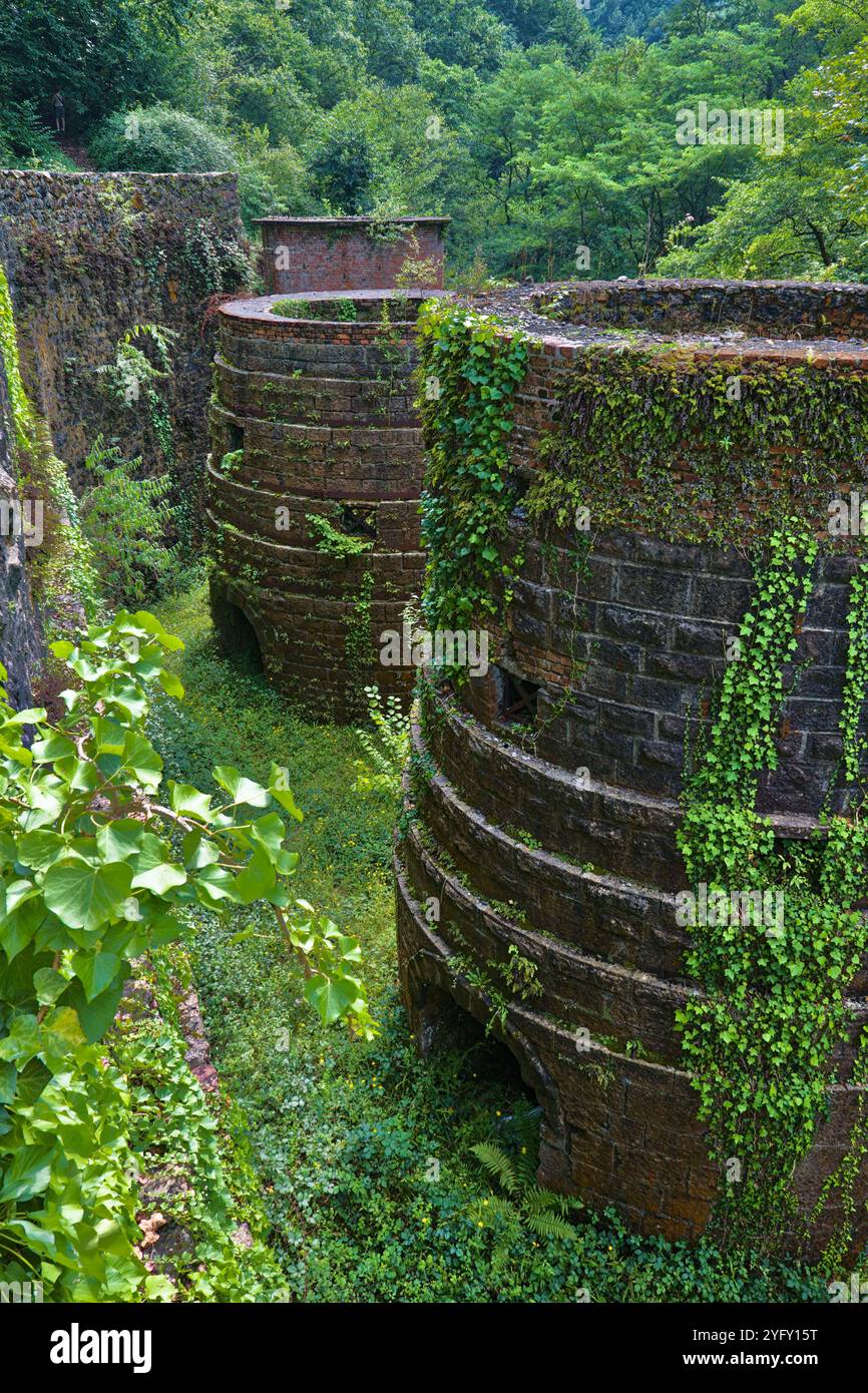 Struttura in pietra ricoperta di muschio, probabilmente un vecchio sito industriale o storico. Foto Stock