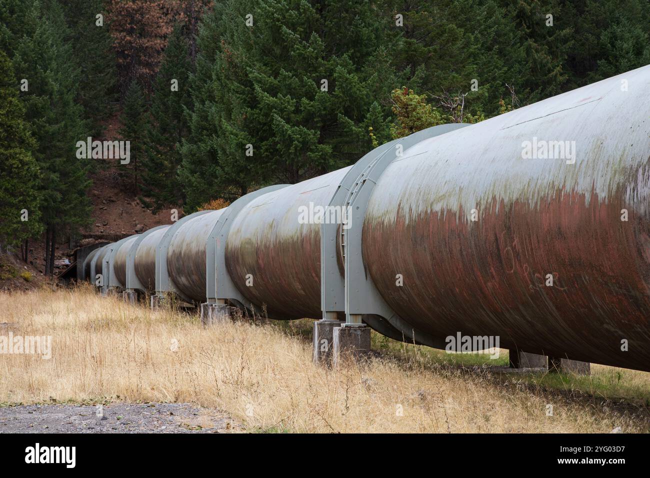 Penstock proveniente dal lago artificiale McCloud nella contea di Shasta, California, vicino a Hawkins Creek Foto Stock