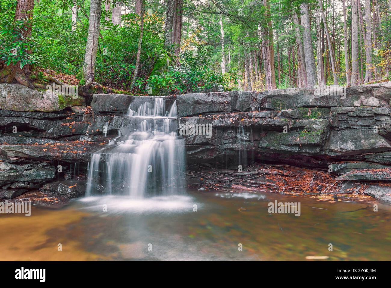 Tolliver Falls in un giorno d'autunno. Tolliver Run. Swallow Falls State Park. Oakland. Maryland Foto Stock