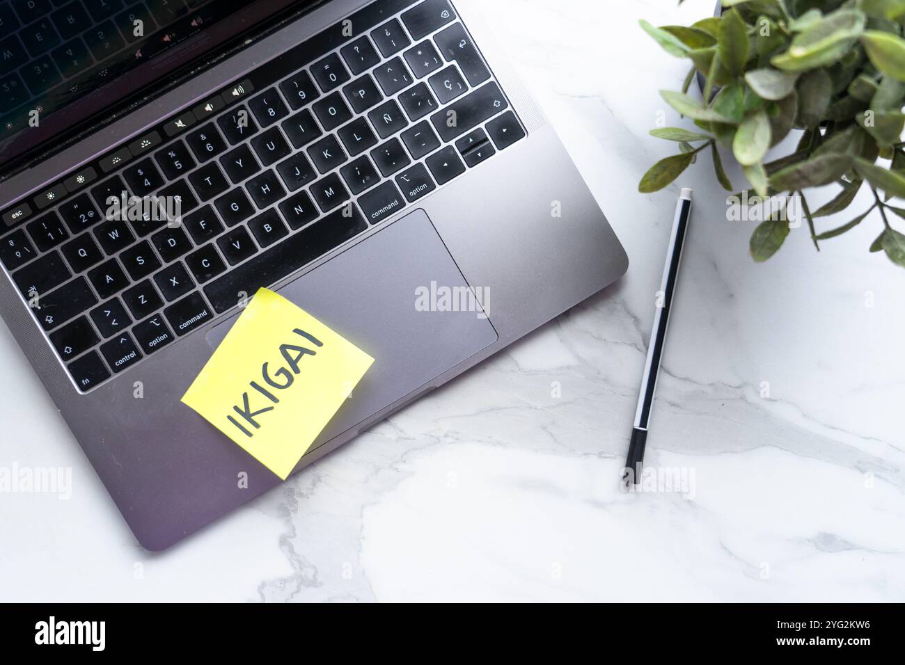 Laptop con un Post IT con la parola ikigai scritta sopra. Scopo della vita. crescita personale. Copia spazio Foto Stock