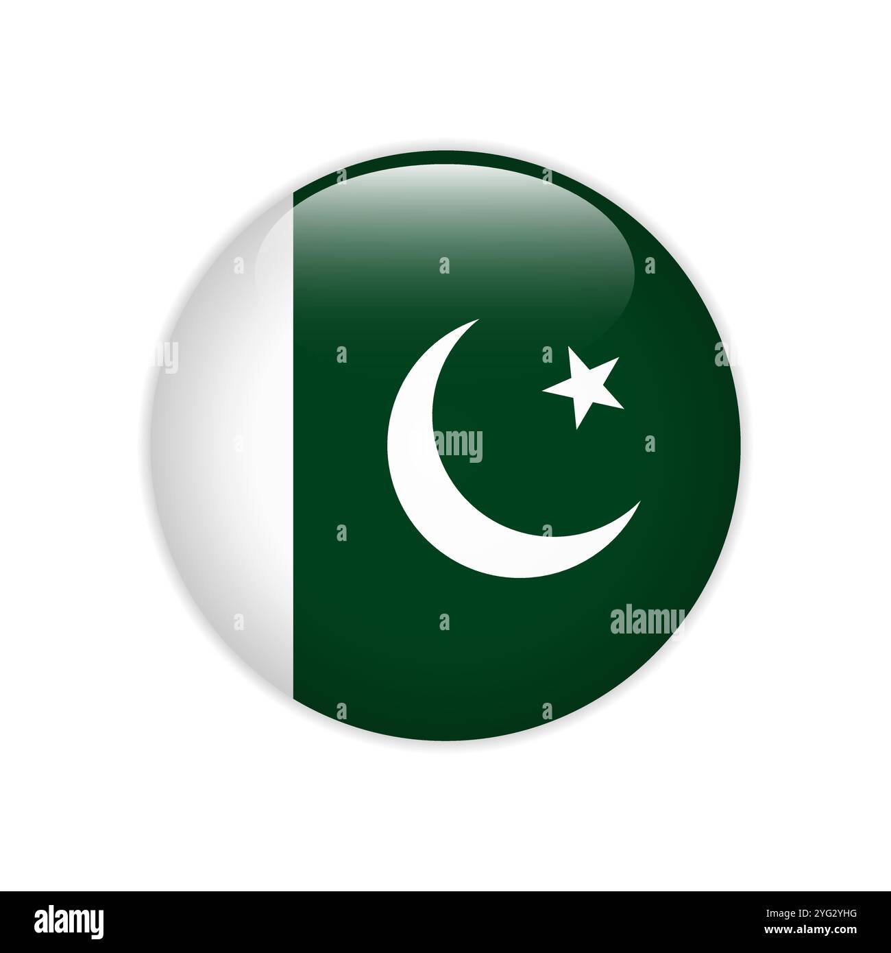 Pulsante di attivazione della bandiera pakistana Illustrazione Vettoriale