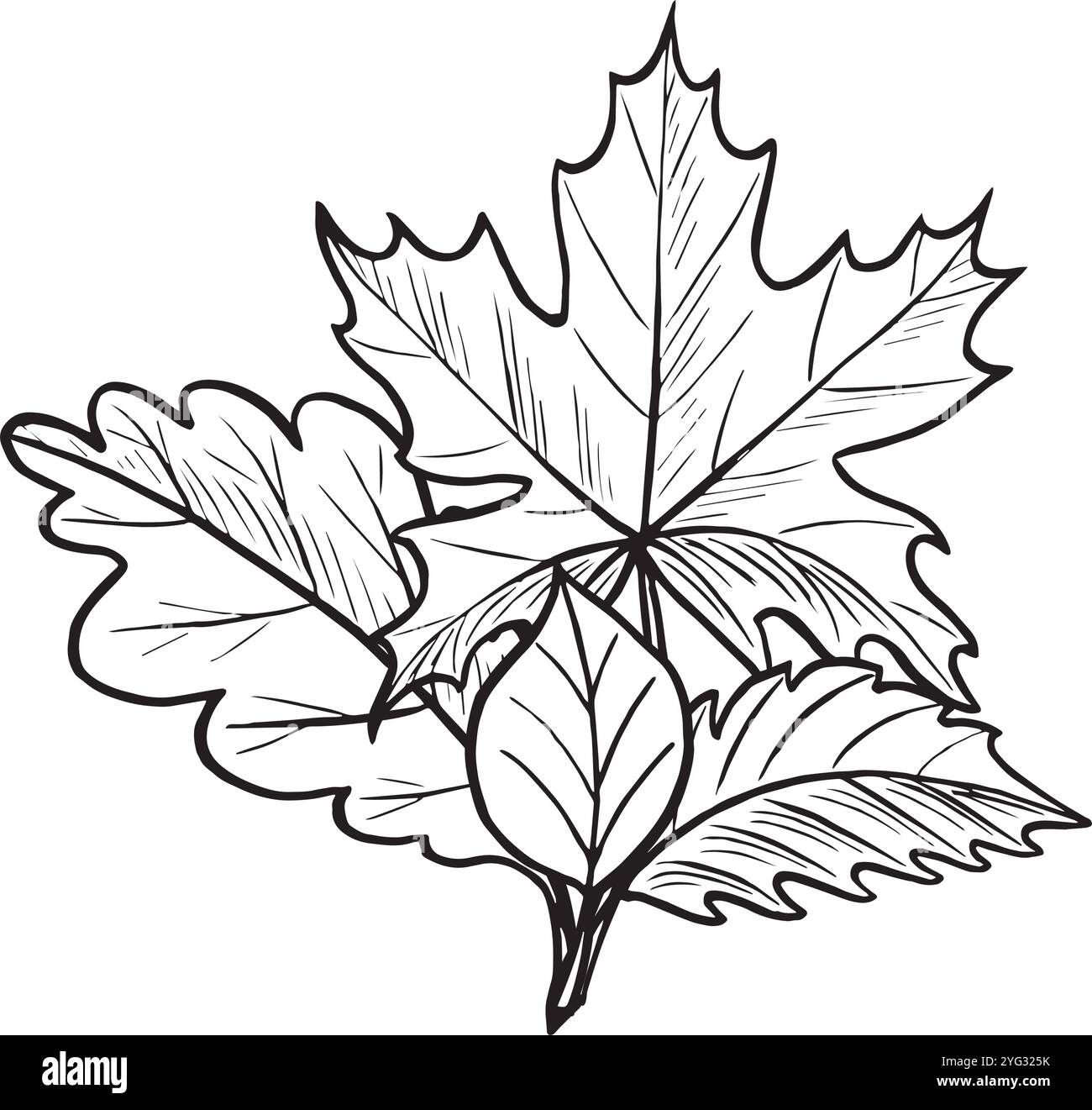 Schizzo del bouquet di foglie d'autunno. Illustrazione vettoriale disegnata a mano isolata. Allestimento fogliame autunnale. Composizione monocromatica in bianco e nero. Natura forestale Illustrazione Vettoriale