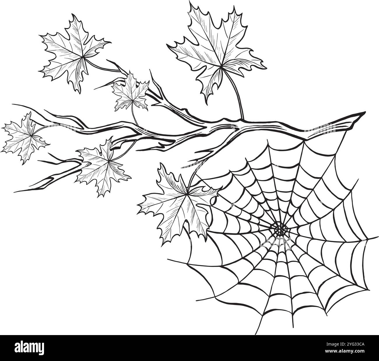 Schizzo di composizione della caduta della foresta. Ragnatela su foglie d'acero ramificate. Composizione del fogliame. Illustrazione della linea grafica vettoriale, disegnata a mano isolata. Nero Illustrazione Vettoriale