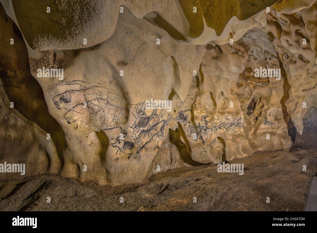 FRANCIA. ARDECHE (07) VALLON PONT D'ARC - VISITA ESCLUSIVA ALLA GROTTA ORNATA PONT D'ARC, CONOSCIUTA COME LA GROTTA DI CHAUVET: CAMERA SUL RETRO. AMPIO PANNELLO DI CACCIA L Foto Stock