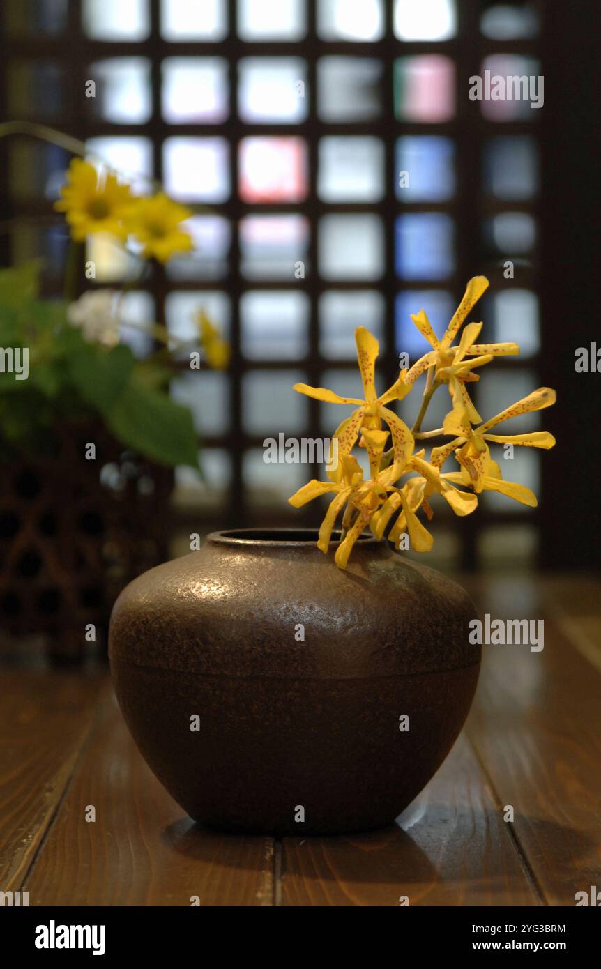 Vaso di fiori Foto Stock