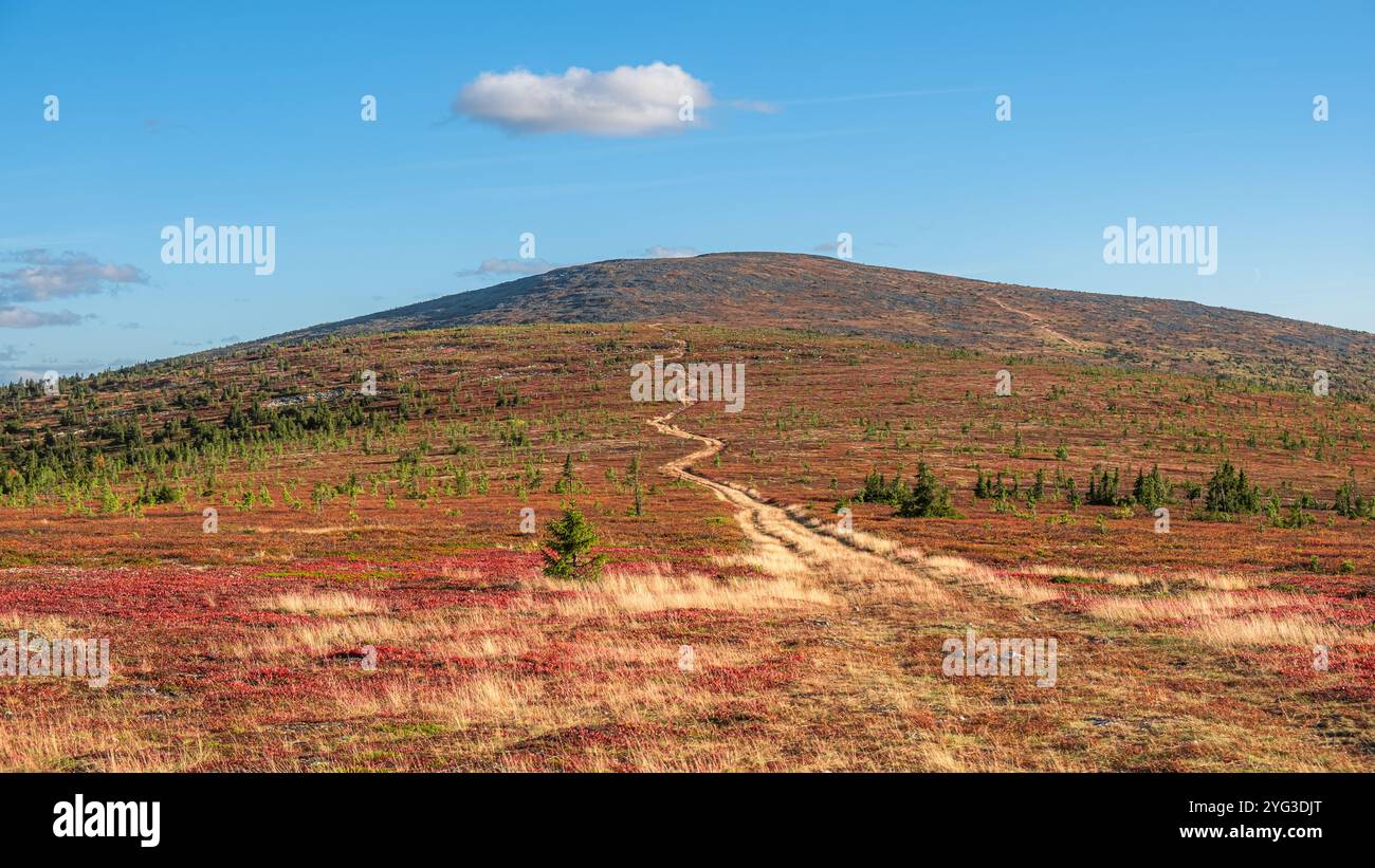 La tortuosa strada sterrata si estende attraverso un vibrante paesaggio autunnale, che conduce lo sguardo verso una lontana vetta di montagna sotto un sereno cielo blu punteggiato da una nuvola solitaria Foto Stock