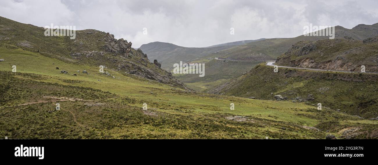 Vegetazione altopiano peruviana, che attraversa le Ande da Cuscu verso Nazca, Route 30A, Perù, Sud America Foto Stock