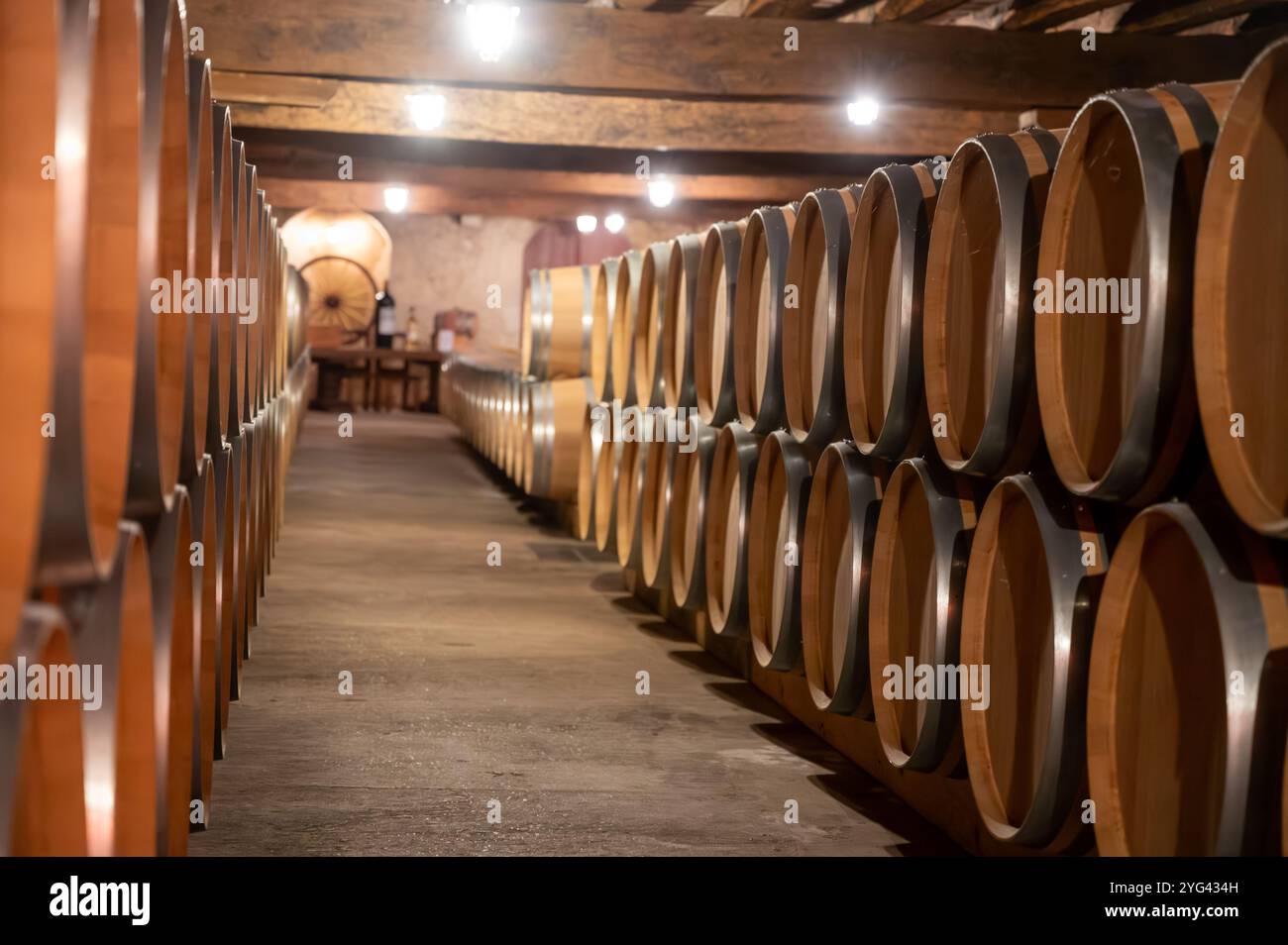 Cantina con botti di rovere francese per l'invecchiamento del vino rosso ottenuto da vitigno Cabernet Sauvignon, vigne Haut-Medoc a Bordeaux, sponda sinistra di G. Foto Stock