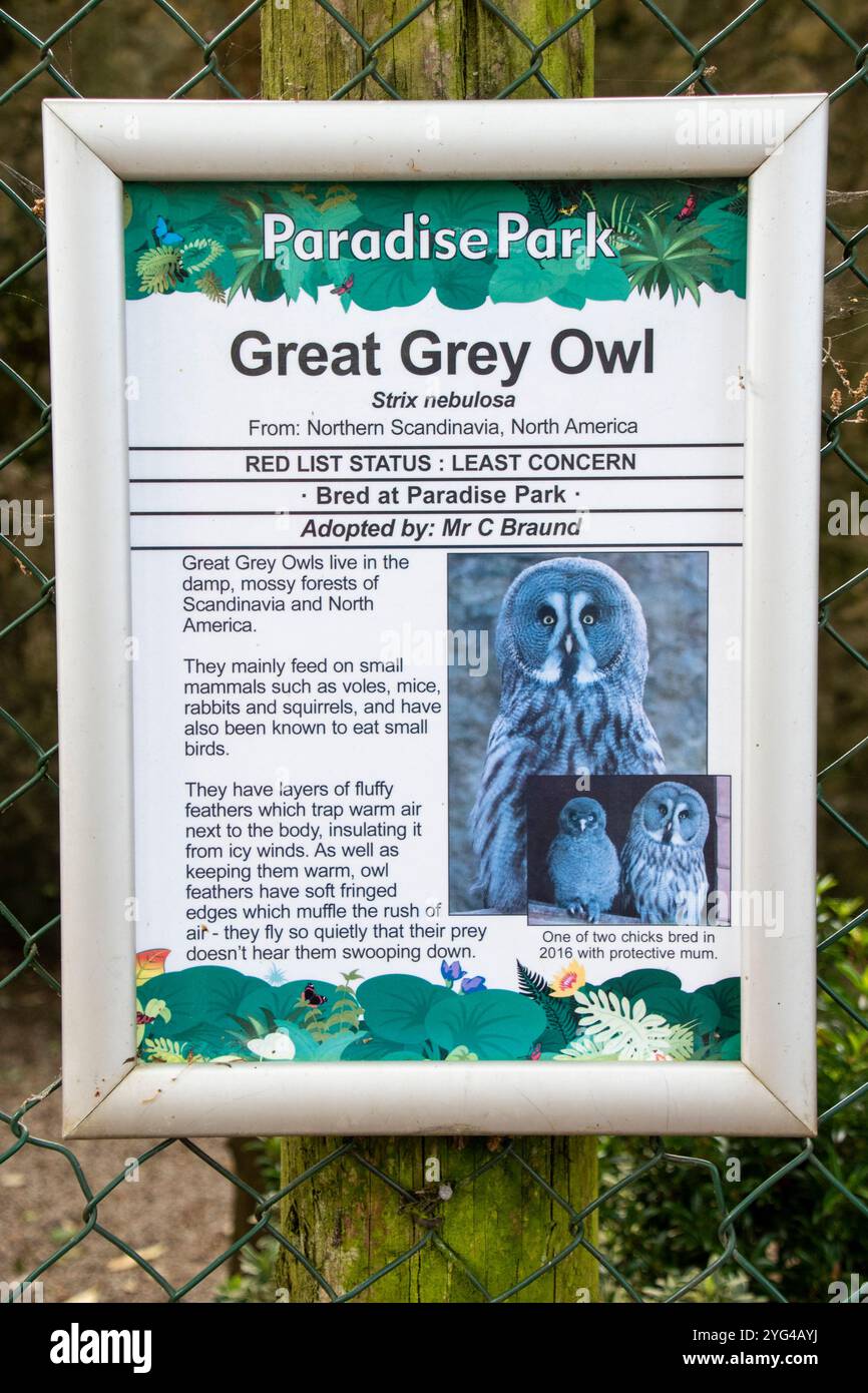 Cornovaglia, Regno Unito – 19 giugno 2024: Cartello informativo Great Grey Owl a Paradise Park, Hayle Foto Stock