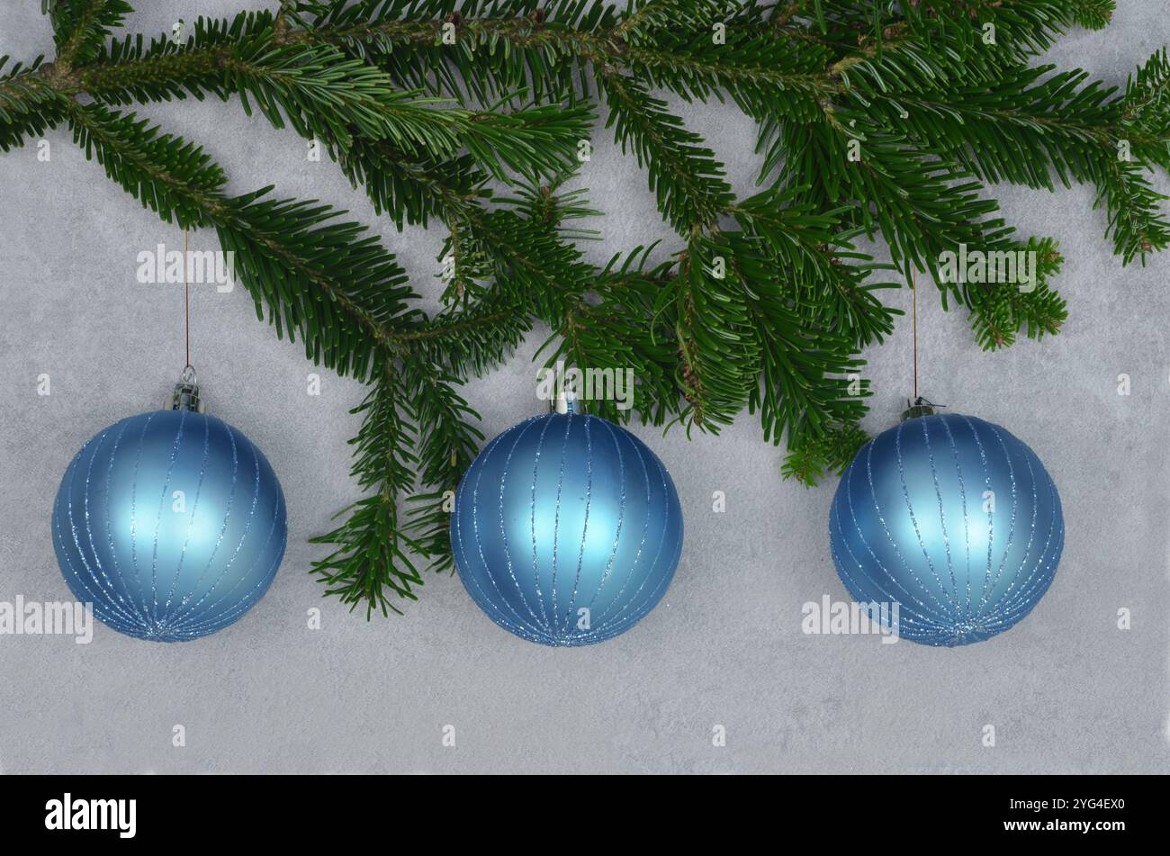 Ramoscello natalizio e tre baule natalizie blu su sfondo grigio. Foto Stock