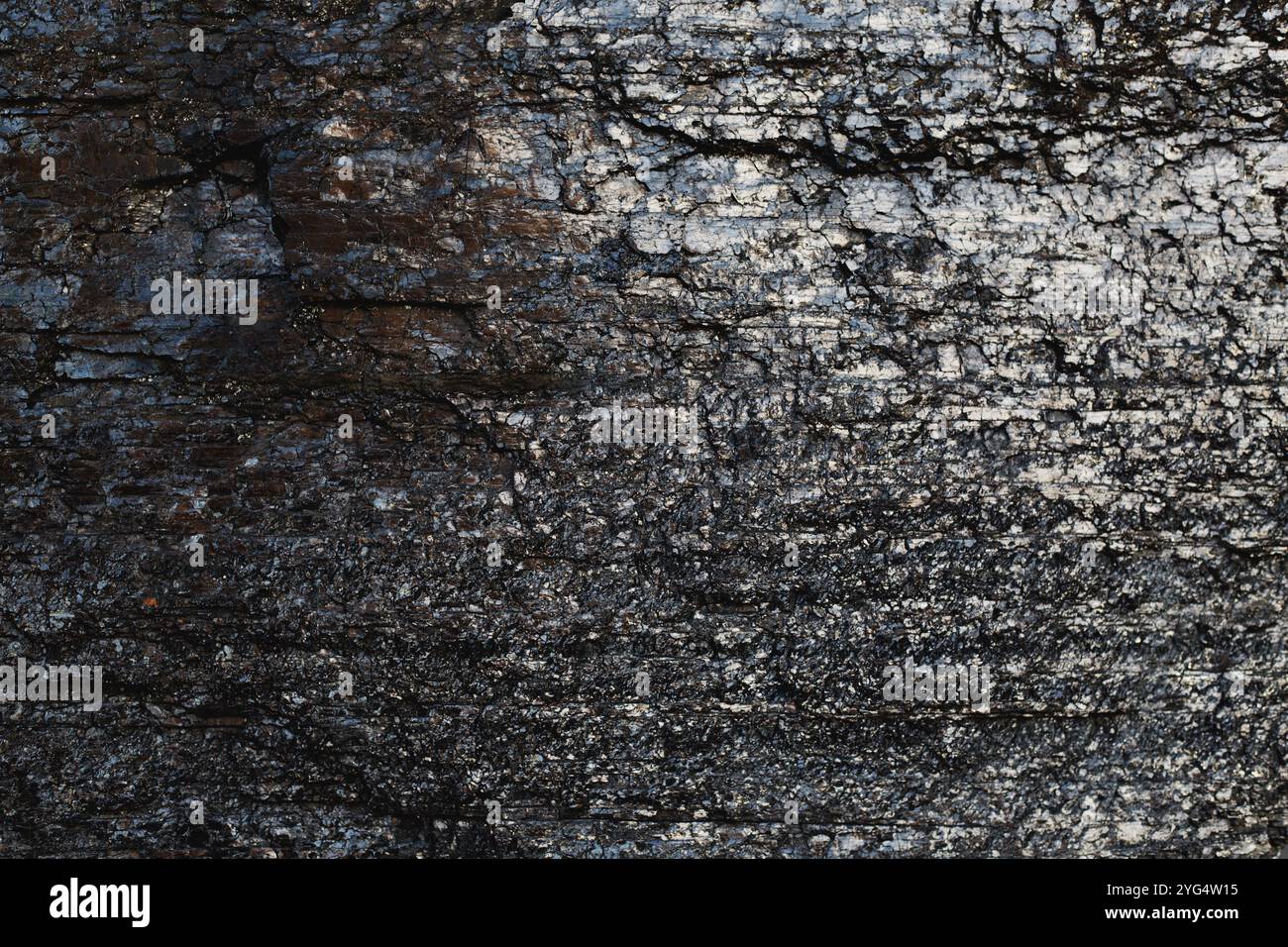 superficie del carbone nero con consistenza ricca Foto Stock