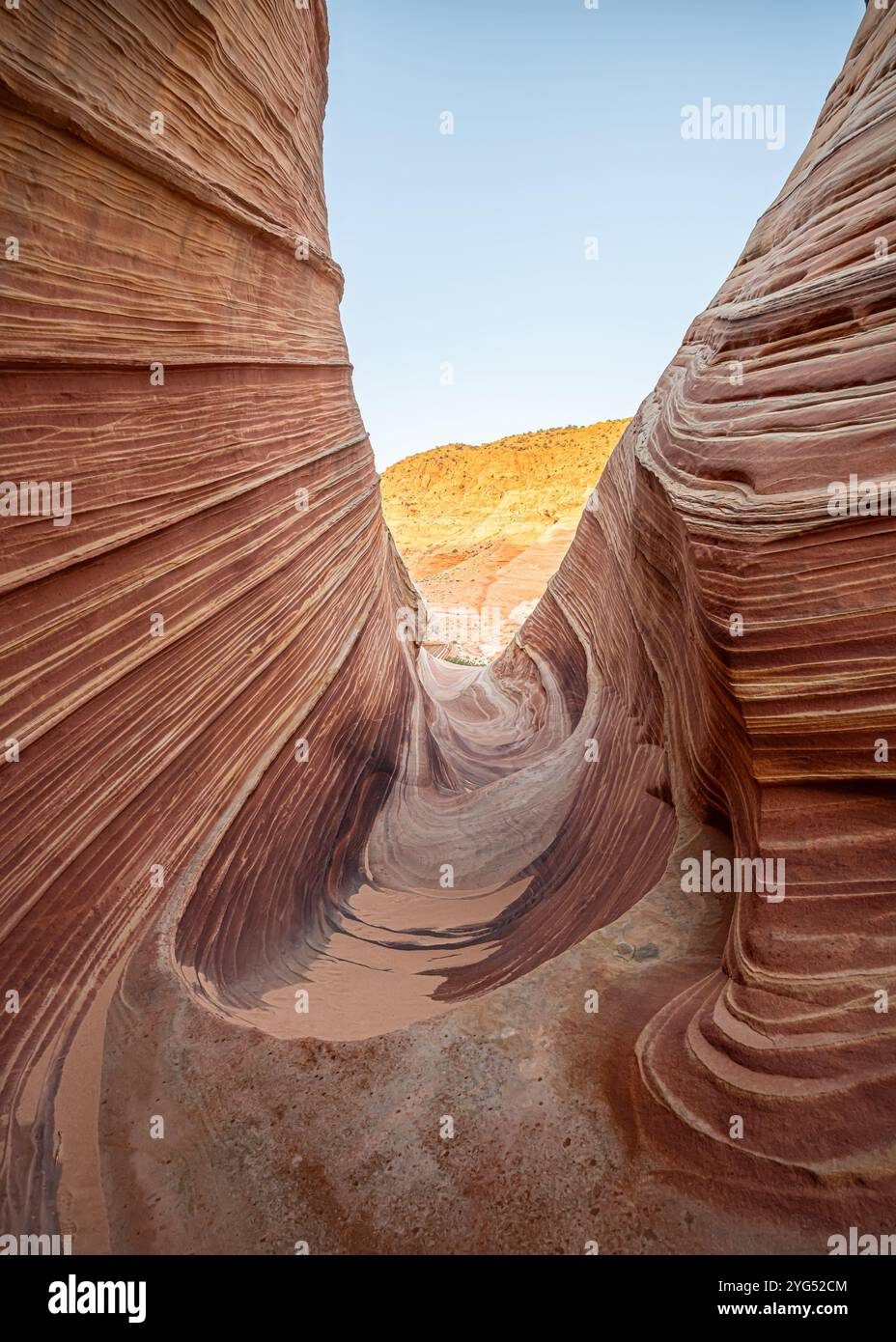 The Wave (formazioni ondulate, striate, di arenaria Navajo), a North Coyote Buttes, nel Vermilion Cliffs National Monument, Arizona. Foto Stock