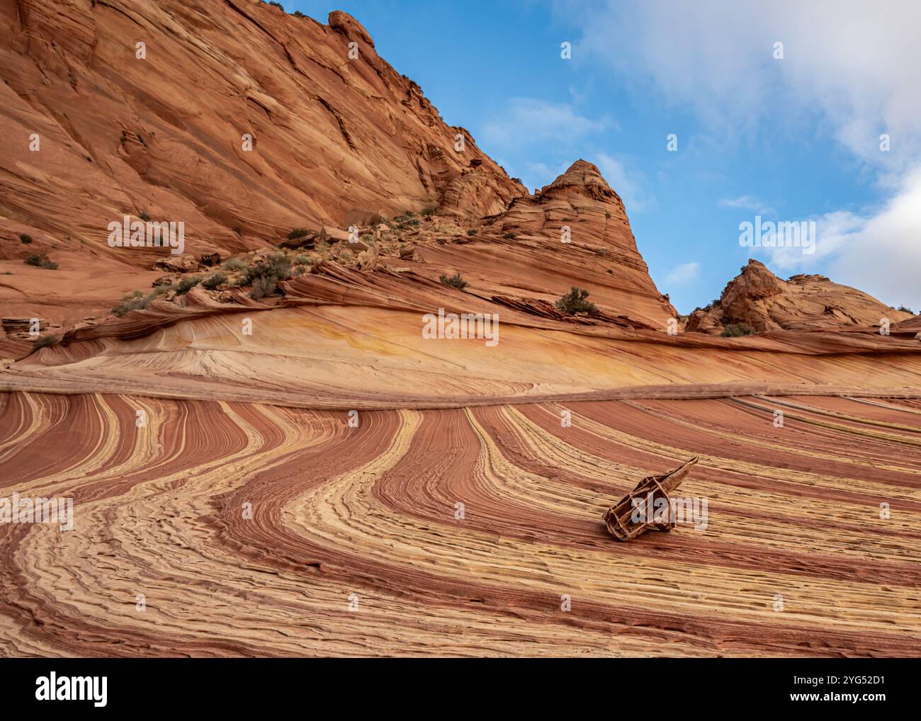 Fatali's Boneyard, in the Wave (formazioni ondulate, striate, di arenaria Navajo), a North Coyote Buttes, nel Vermilion Cliffs National Monument, Arizona Foto Stock