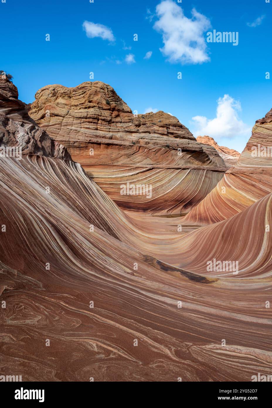 The Wave (formazioni ondulate, striate, di arenaria Navajo), a North Coyote Buttes, nel Vermilion Cliffs National Monument, Arizona. Foto Stock