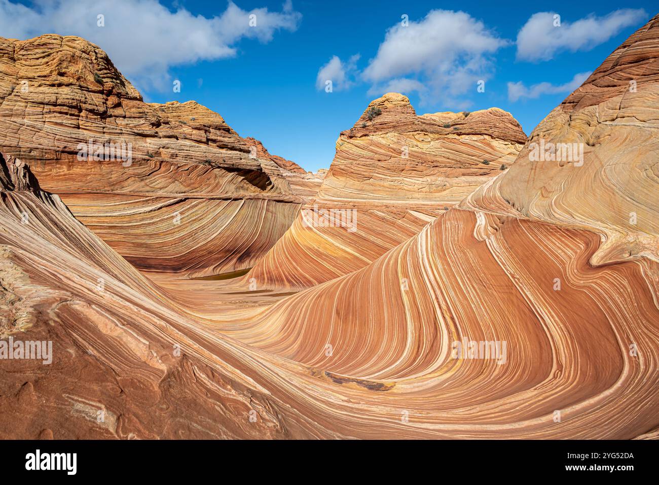 The Wave (formazioni ondulate, striate, di arenaria Navajo), a North Coyote Buttes, nel Vermilion Cliffs National Monument, Arizona. Foto Stock