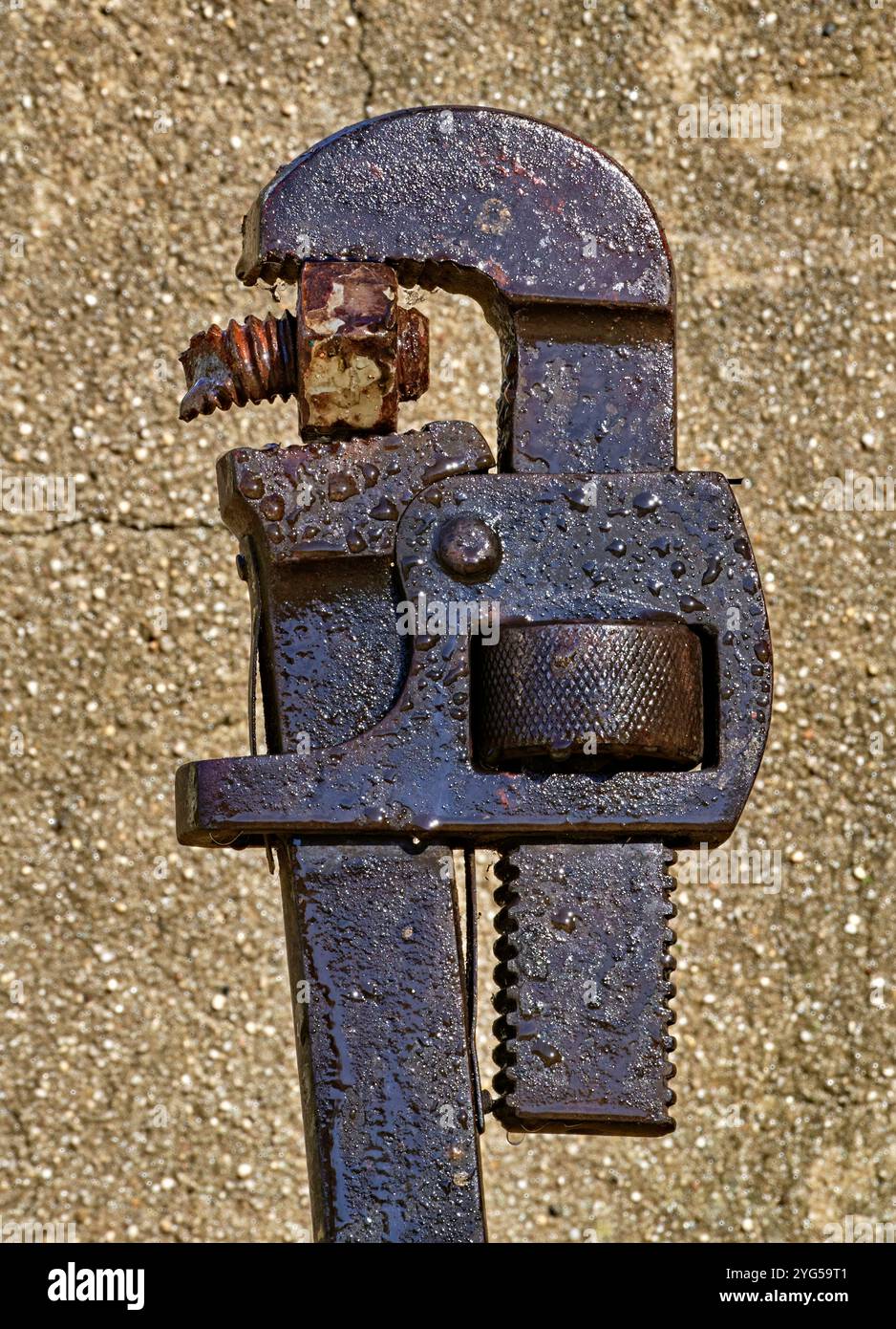 Primo piano di una chiave per tubi per idraulici Old Wet Rusty Vintage. Su uno sfondo cementato. Con un bullone rotto nei denti. Foto Stock