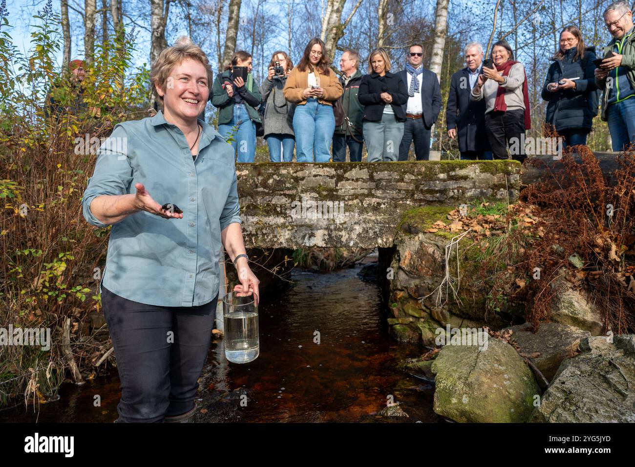 Hilscheid, Germania. 6 novembre 2024. Dorothee Killmann del team di ricerca dell'Università di Coblenza presenta una specie di alghe rosse recentemente scoperta chiamata Hoefkenia hunsrueckensis situata nel torrente Traunbach a Erbeskopf. Le alghe rosse sono la seconda specie appena descritta nel Parco Nazionale di Hunsrück-Hochwald. Credito: Harald Tittel/dpa/Alamy Live News Foto Stock