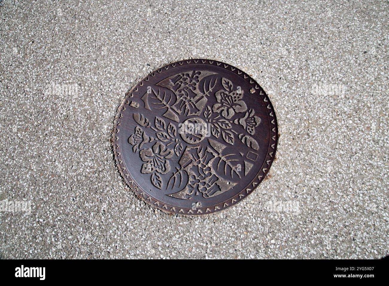 Gokayama è un villaggio di case di Gassho in Giappone. Questo è uno dei tombini decorativi. Foto Stock