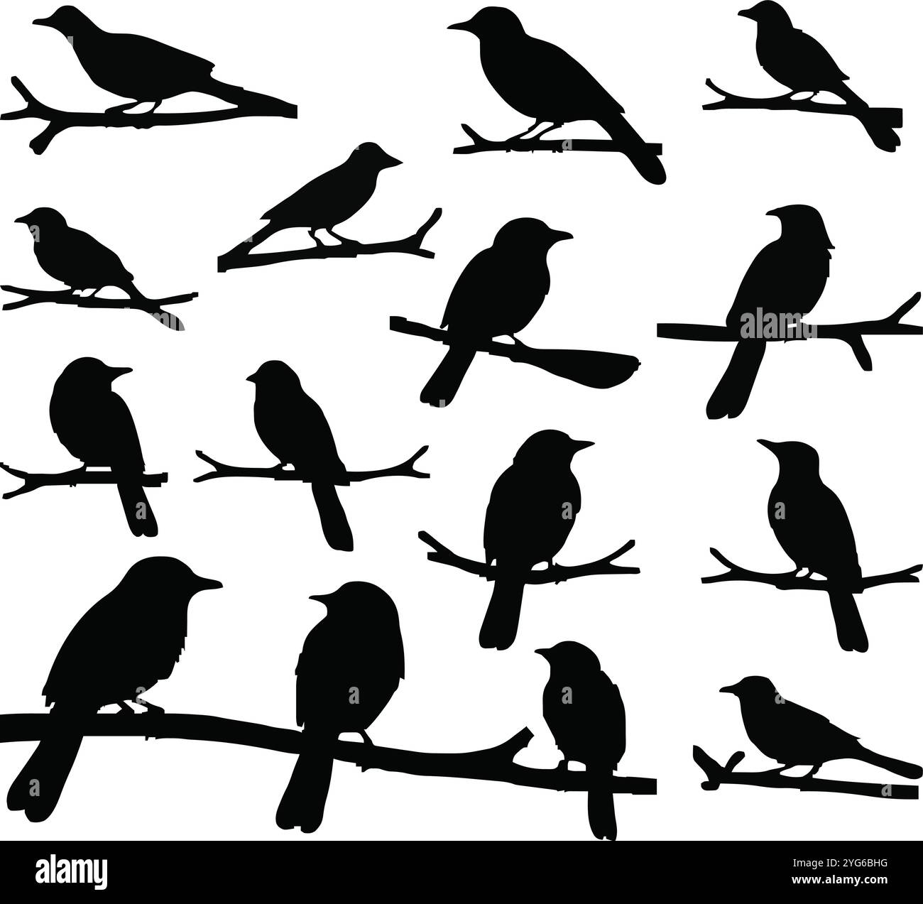 Design piatto di uccelli sulla sagoma del ramo Illustrazione Vettoriale