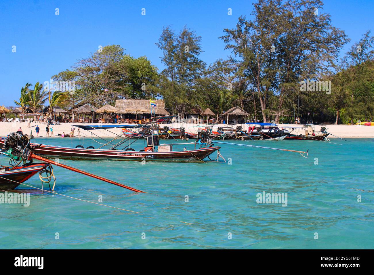 Koh Madsum (o Koh Mat Sum o Pig Island). L'isola, vicino a Koh Samui, è un'attrazione turistica principalmente a causa della presenza di maiali liberi di muoversi sul Foto Stock