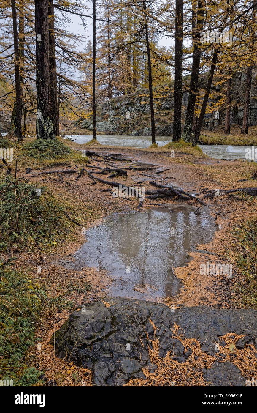 Fiume nella Vallée de la Clarée, una valle panoramica delle Alpi francesi, nei colori autunnali Foto Stock