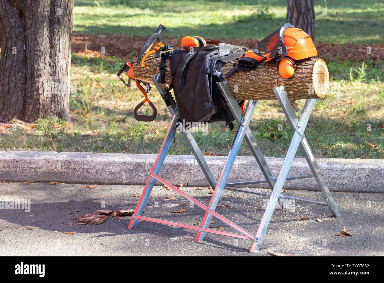 Attrezzature da lavoro esposte con attrezzatura di sicurezza e attrezzi accanto a un albero in un ambiente soleggiato all'aperto Foto Stock