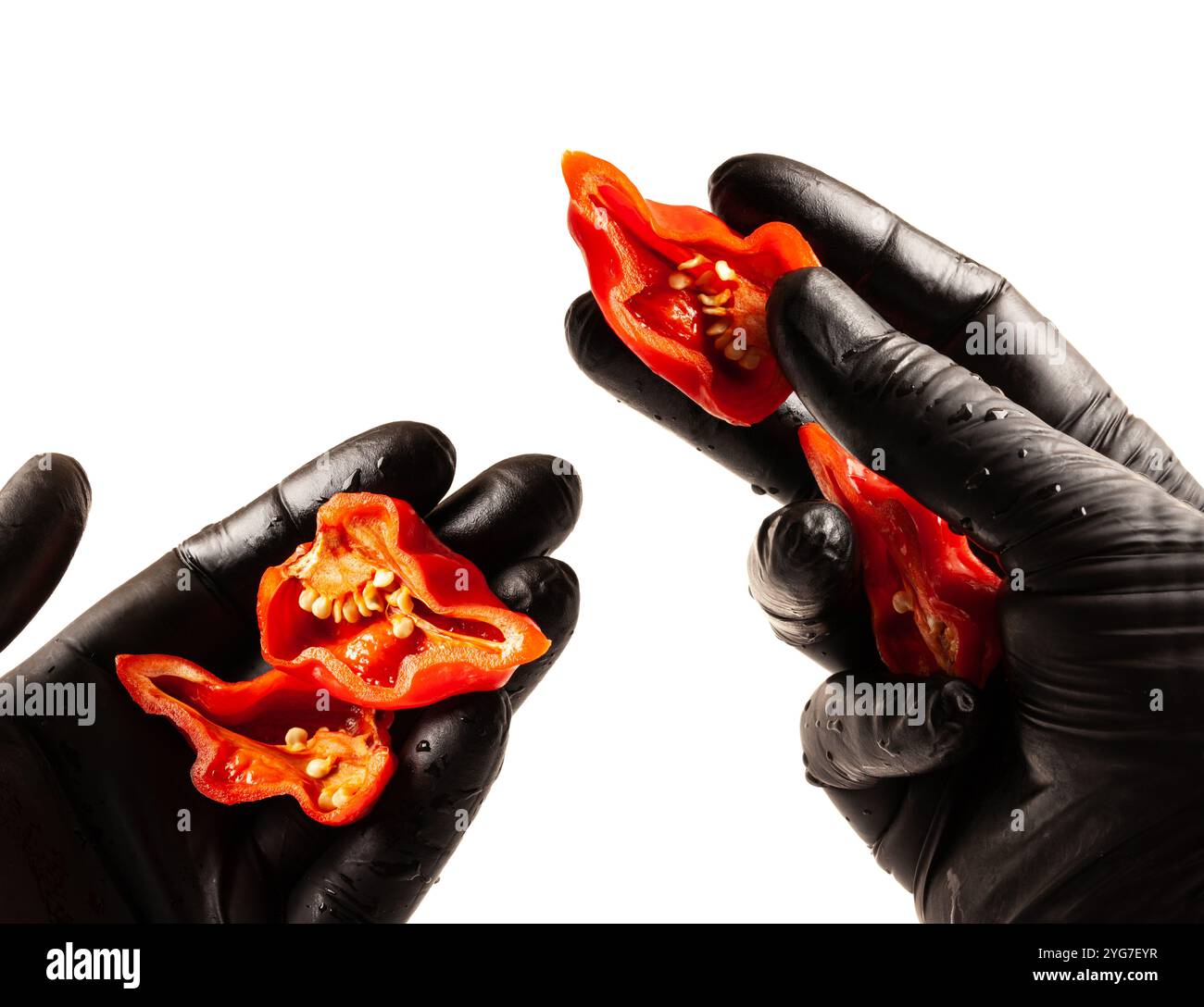 Preparare Habanero al pepe super caldo. Le mani con guanti protettivi neri contengono metà di peperoni rossi molto caldi. Foto Stock