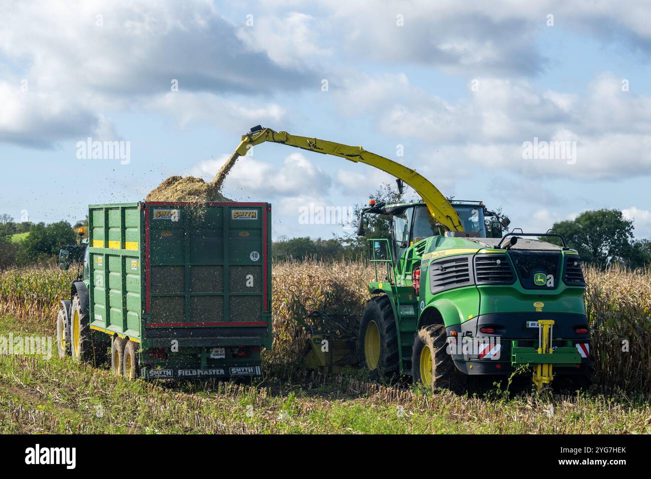 Walsh Agri Services raccoglie mais per l'agricoltore lattiero-caseario Stephen Beamish con sede a Bauravilla utilizzando una mietitrebbia John Deere 9600. Foto Stock