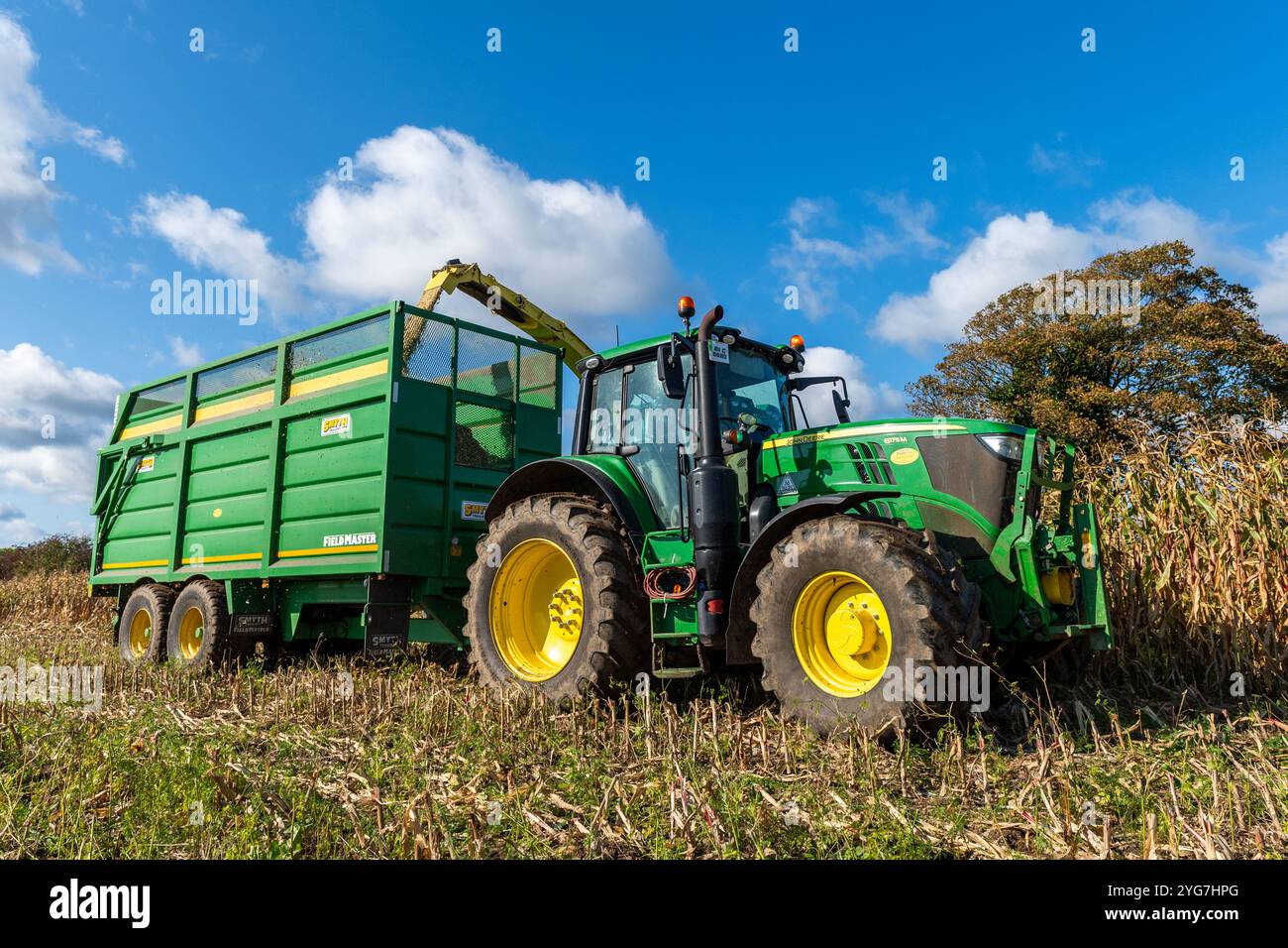 Walsh Agri Services raccoglie mais per l'agricoltore lattiero-caseario Stephen Beamish con sede a Bauravilla utilizzando una mietitrebbia John Deere 9600. Foto Stock