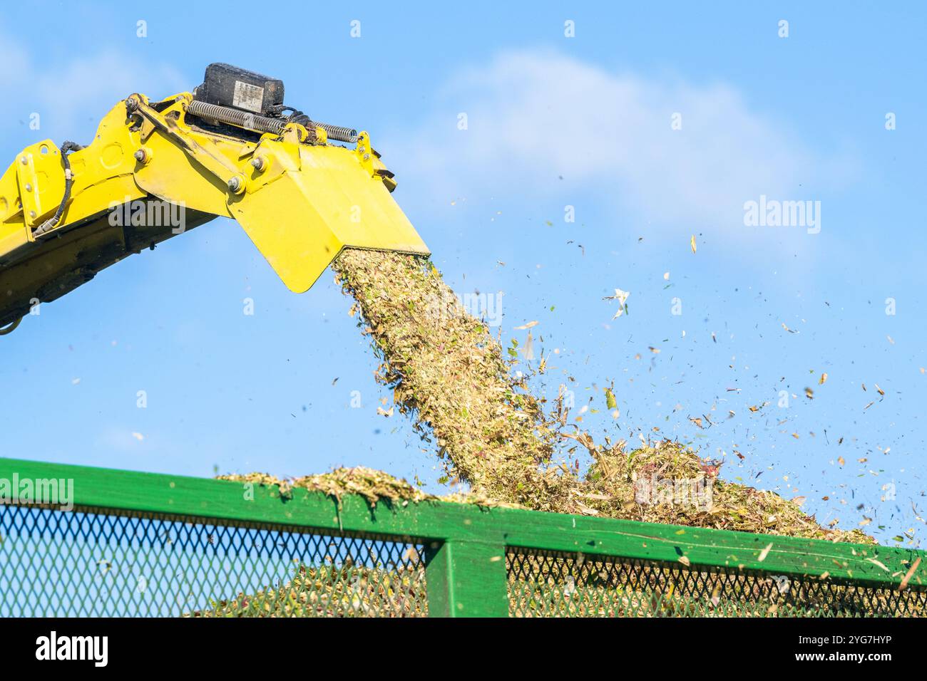 Walsh Agri Services raccoglie mais per l'agricoltore lattiero-caseario Stephen Beamish con sede a Bauravilla utilizzando una mietitrebbia John Deere 9600. Foto Stock