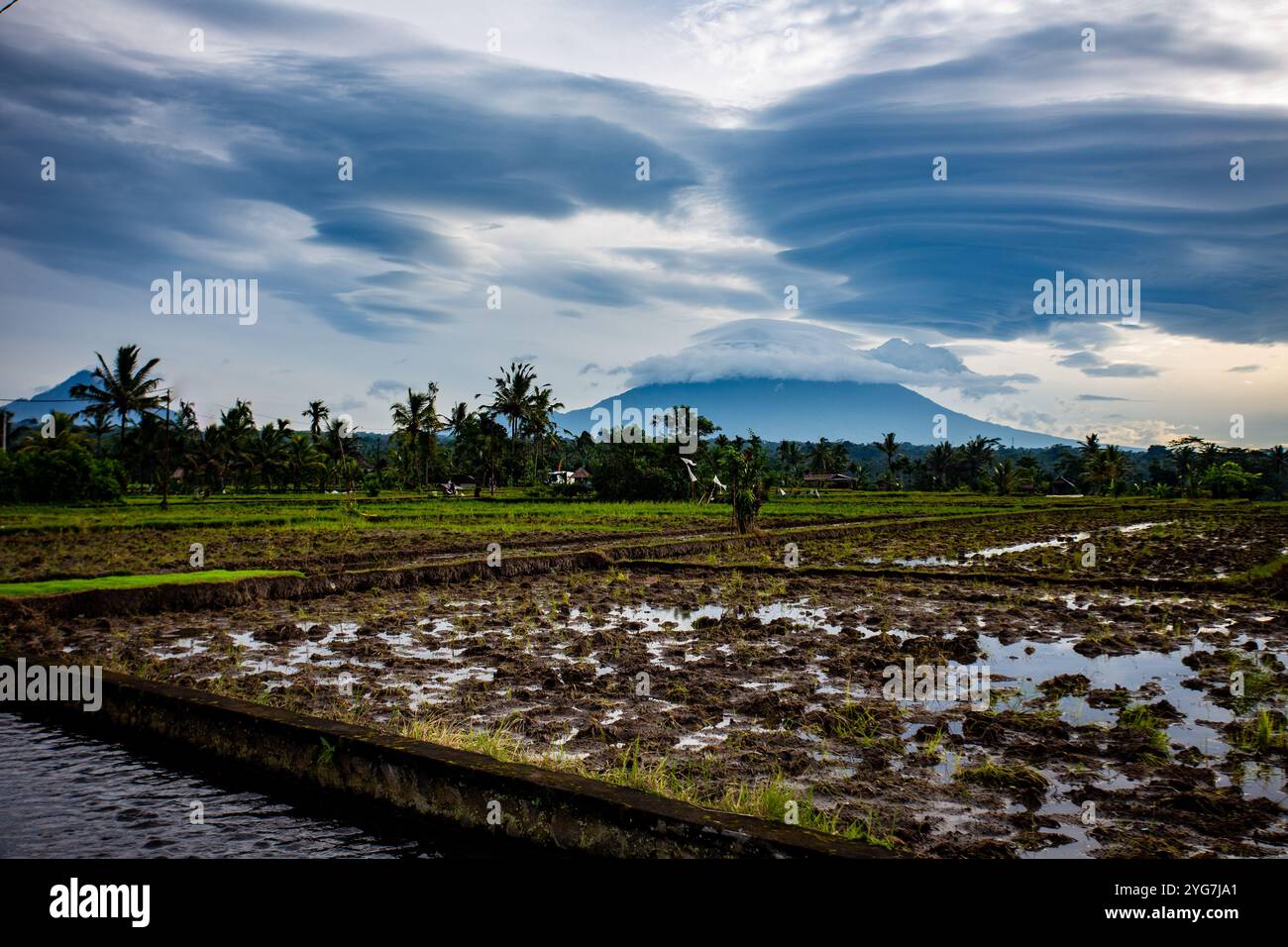 Campo di riso indonesiano al mattino con interessanti nuvole sopra un vulcano Foto Stock