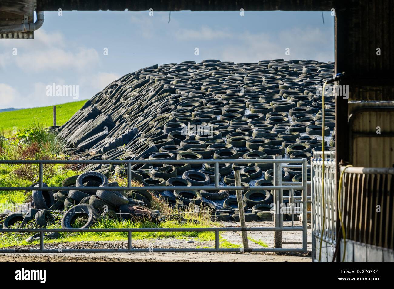 Fossa di insilato completa in un'azienda agricola a West Cork, Irlanda. Foto Stock