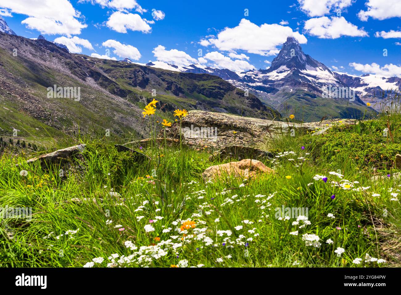 Famosi sentieri escursionistici in Svizzera, incredibili Alpi, cantone Vallese, vista panoramica della montagna iconica del Cervino Foto Stock